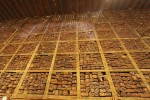 Tibetan books Tantyua and Kantyua